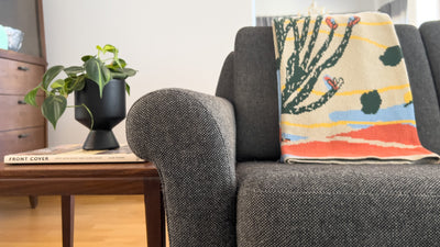 Behind the Design: Southwest Desert Landscape Throw Blanket