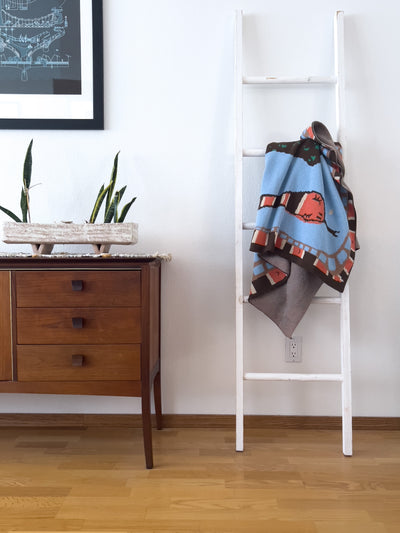 Behind the Design: Southwest Roadrunner Throw Blanket