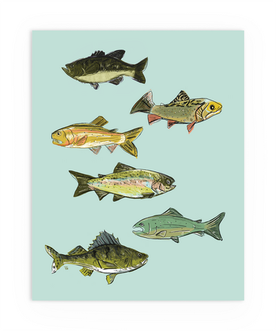 Art print of drawings of freshwater fish with aqua background.