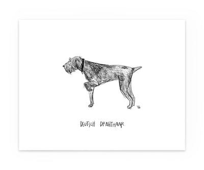 Print of a pointing Deutsch Drahthaar dog