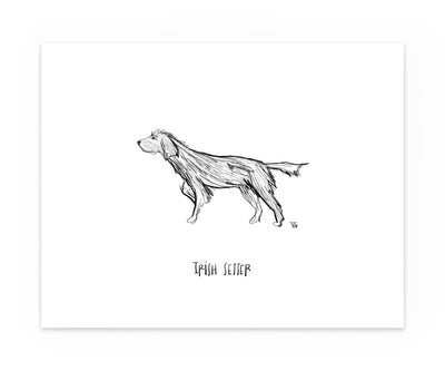 Hand illustrated drawing of an Irish setter black and white drawing
